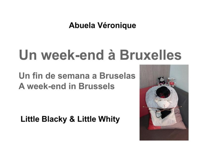 Emprunter Un week-end à Bruxelles. Little Blacky et Little Whity livre