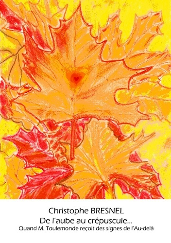 Emprunter De l'aube au crépuscule... Quand M. Toulemonde reçoit des signes de l'Au-delà livre