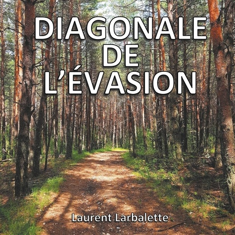 Emprunter Diagonale de l'évasion livre