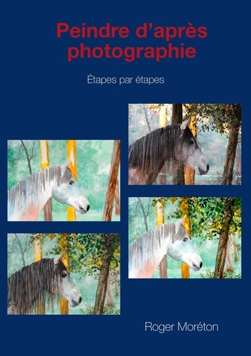 Emprunter Peindre d'après photographie. Etapes par étapes livre