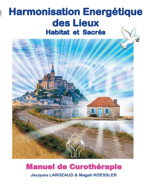 Emprunter HARMONISATION ENERGETIQUE DES LIEUX - HABITAT ET HAUT-LIEUX SACRES livre