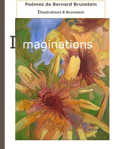 Emprunter Imaginations livre