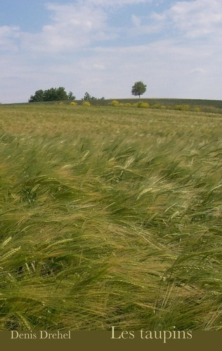 Emprunter Les taupins. Roman d'une vie de gosse livre