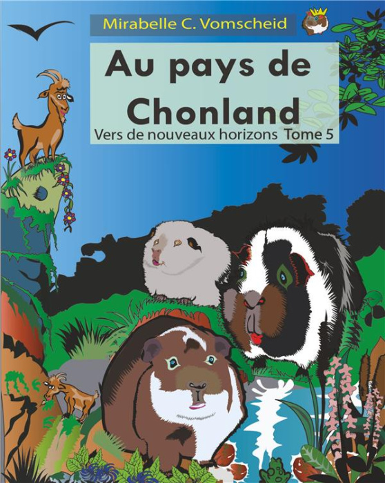 Emprunter Au pays de Chonland Tome 5 : Vers de nouveaux horizons livre