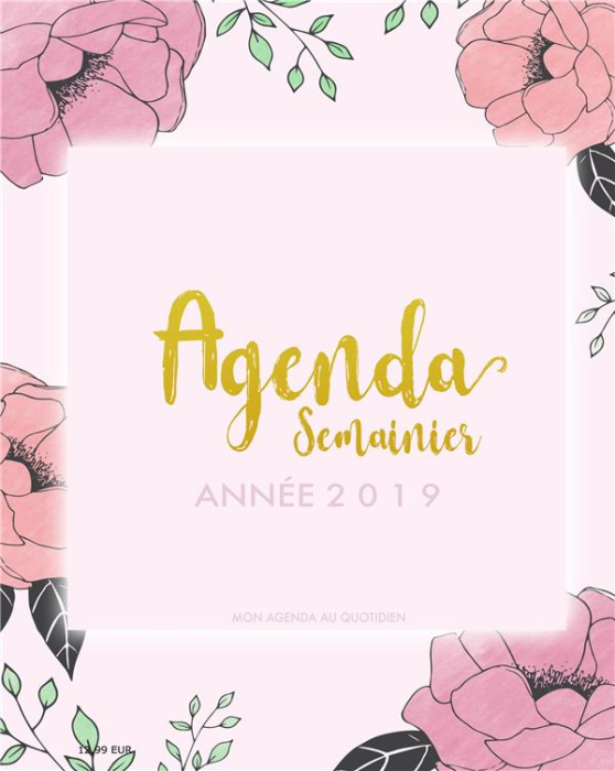 Emprunter AGENDA SEMAINIER ANNEE 2019 - MON AGENDA AU QUOTIDIEN - ORGANISEUR PERSONNEL, UNE SEMAINE SUR 2 PAGE livre