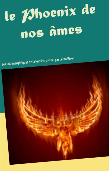 Emprunter Le phoenix de nos âmes. Les lois énergétiques de la lumière divine livre