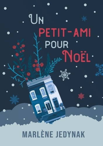 Emprunter UN FIANCE POUR NOEL - ET LES AUTRES JOURS AUSSI livre
