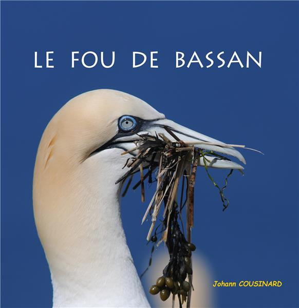 Emprunter Le fou de Bassan livre