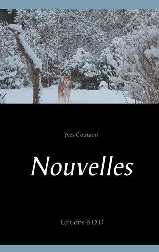 Emprunter Nouvelles livre