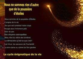 Emprunter Nous ne sommes rien d'autre que de la poussière d'étoiles. Le cycle énigmatique de la vie livre