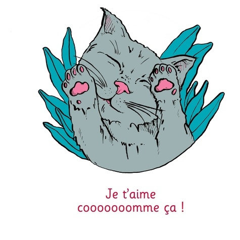 Emprunter Je t'aime cooooooomme ça ! livre