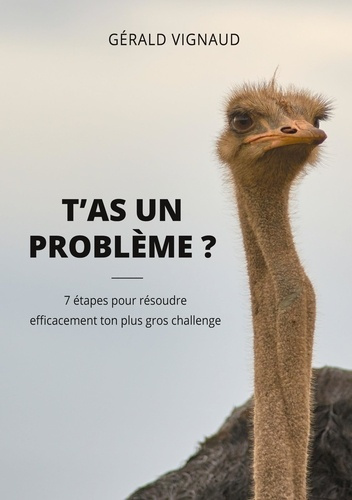 Emprunter T'as un problème ? 7 étapes pour résoudre efficacement ton plus gros challenge livre