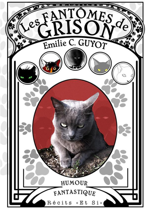 Emprunter Les Fantômes de Grison livre