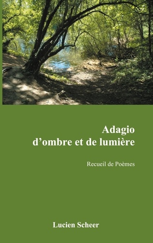 Emprunter Adagio d'ombre et de lumière livre