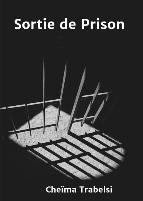 Emprunter Sortie de Prison livre