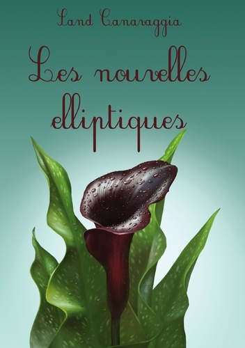 Emprunter Les nouvelles elliptiques livre