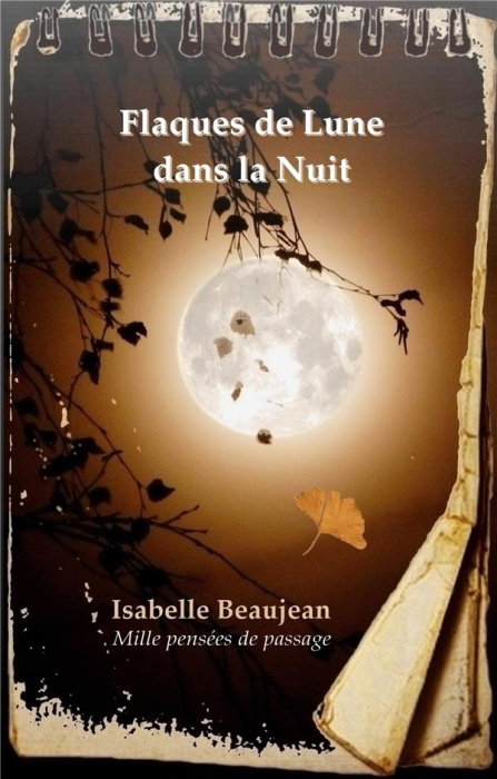 Emprunter Flaques de Lune dans la Nuit. Mille pensées de passage livre