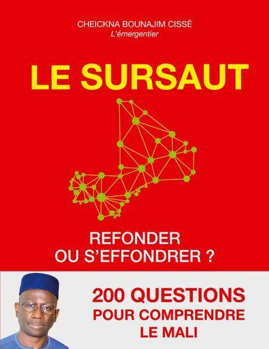 Emprunter Le sursaut livre