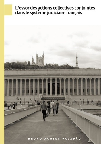 Emprunter L'essor des actions collectives conjointes dans le système judiciaire français. L'action collective livre
