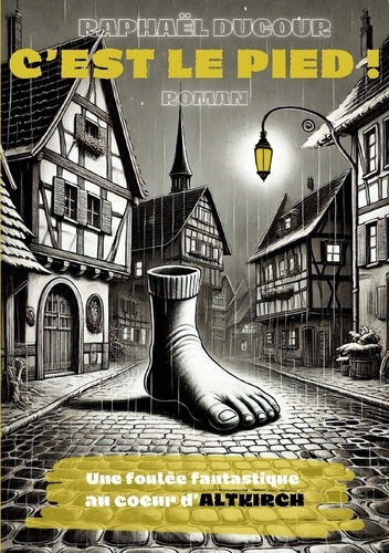 Emprunter C'est le pied ! livre