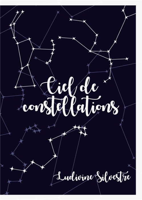 Emprunter Les Cieux Tome 6 : Ciel de constellations livre
