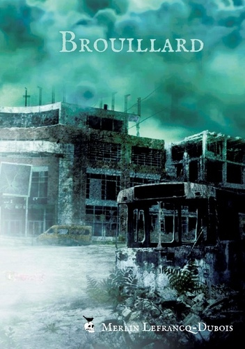 Emprunter Brouillard livre