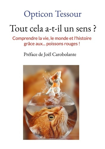 Emprunter Tout cela a-t-il un sens ?. Comprendre la vie, le monde et l'histoire grâce aux... poissons rouges ! livre