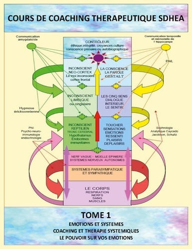 Emprunter Analyse des systèmes et gestion des émotions. Coaching thérapeutique SDHEA livre