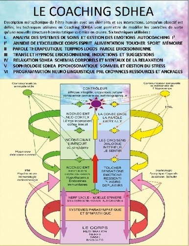 Emprunter Cours de coaching therapeutique sdhea livre