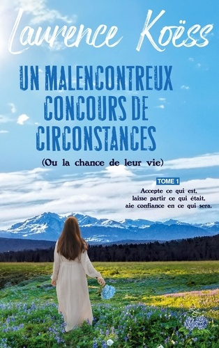 Emprunter Un malenconcontreux concours de circonstances (ou la chance de leur vie). Accepte ce qui est, laisse livre