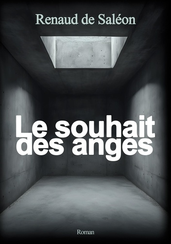 Emprunter Le souhait des anges livre