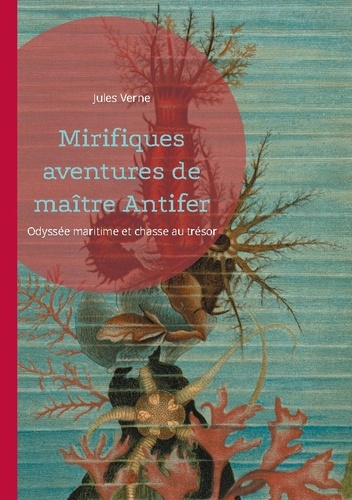 Emprunter Mirifiques aventures de maître Antifer. Odyssée maritime et chasse au trésor livre