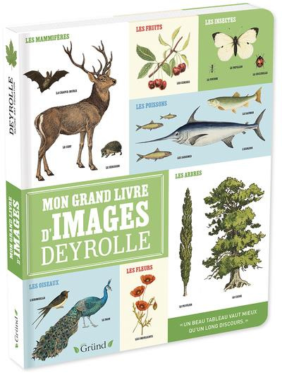 Emprunter Mon grand livre d'images Deyrolle livre