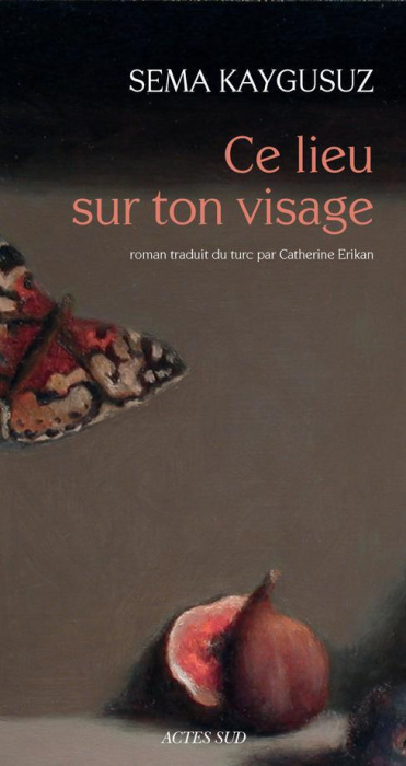 Emprunter Ce lieu sur ton visage livre