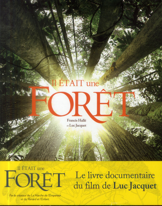 Emprunter Il était une forêt. D'après le film de Luc Jacquet livre