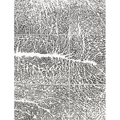 Emprunter Giuseppe Penone. Edition bilingue français-anglais livre