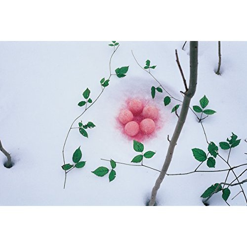 Emprunter Nils-Udo sur l'eau. Edition bilingue français-anglais livre