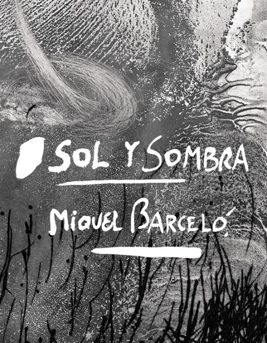 Emprunter Sol y sombra. Miquel Barcelo livre
