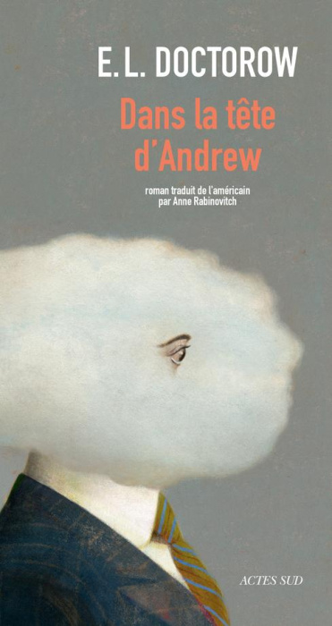Emprunter Dans la tête d'Andrew livre