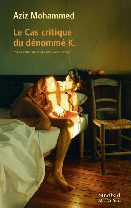 Emprunter Le cas critique du dénommé K. livre