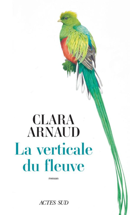 Emprunter La Verticale du fleuve livre