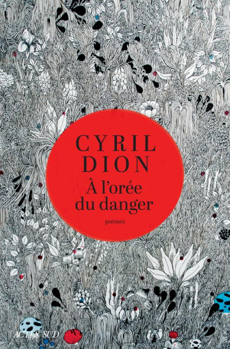 Emprunter A l'orée du danger livre