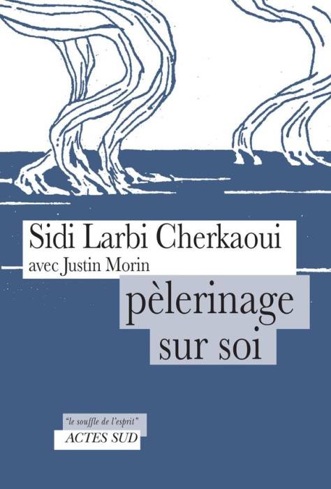 Emprunter Pèlerinage sur soi livre