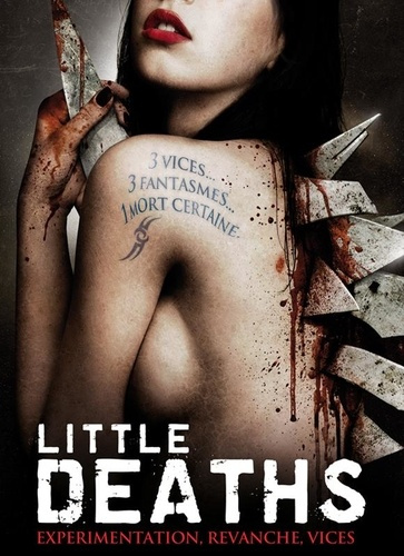 Emprunter Little deaths livre