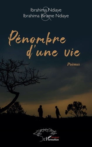 Emprunter Pénombre d’une vie livre