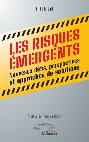 Emprunter Les risques émergents. Nouveaux défis, perspectives et approches de solutions livre