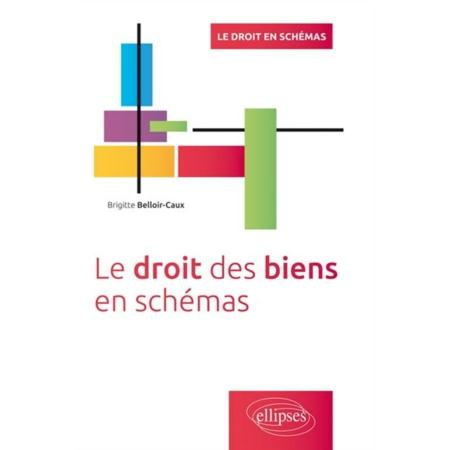 Emprunter Le droit des biens en schémas livre