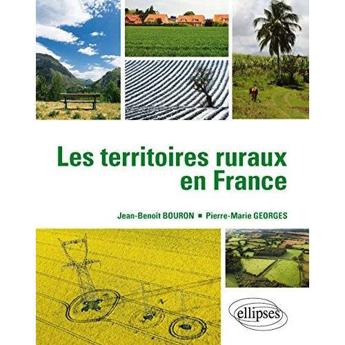 Emprunter Les territoires ruraux en France livre