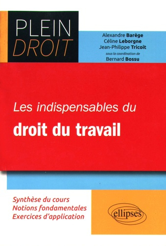 Emprunter Les indispensables du droit du travail livre