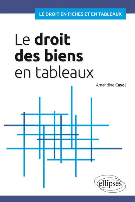 Emprunter Le droit des biens en tableaux livre